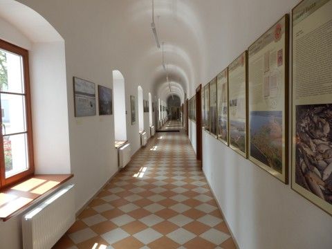Foto 42